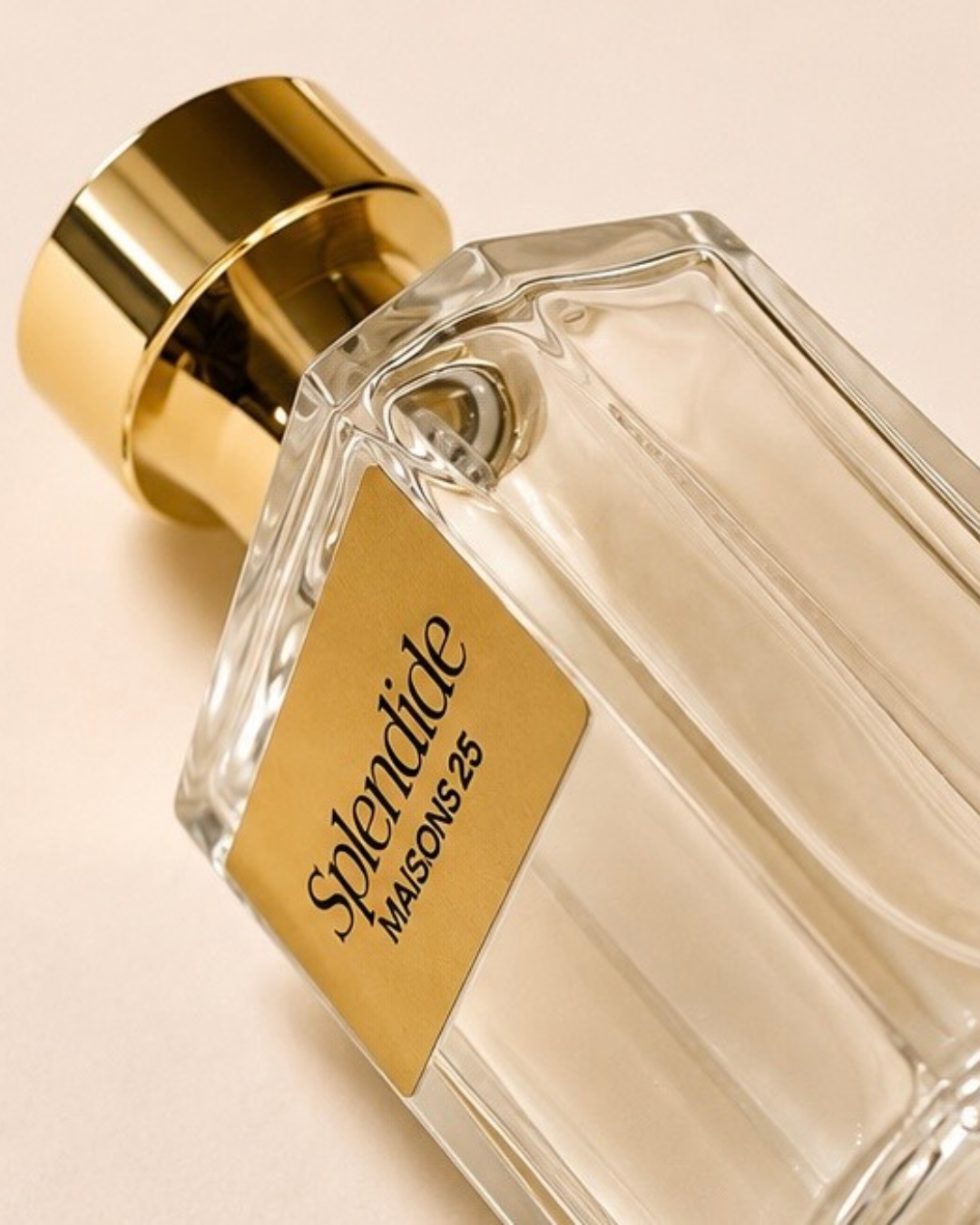 Splendide | Perfume