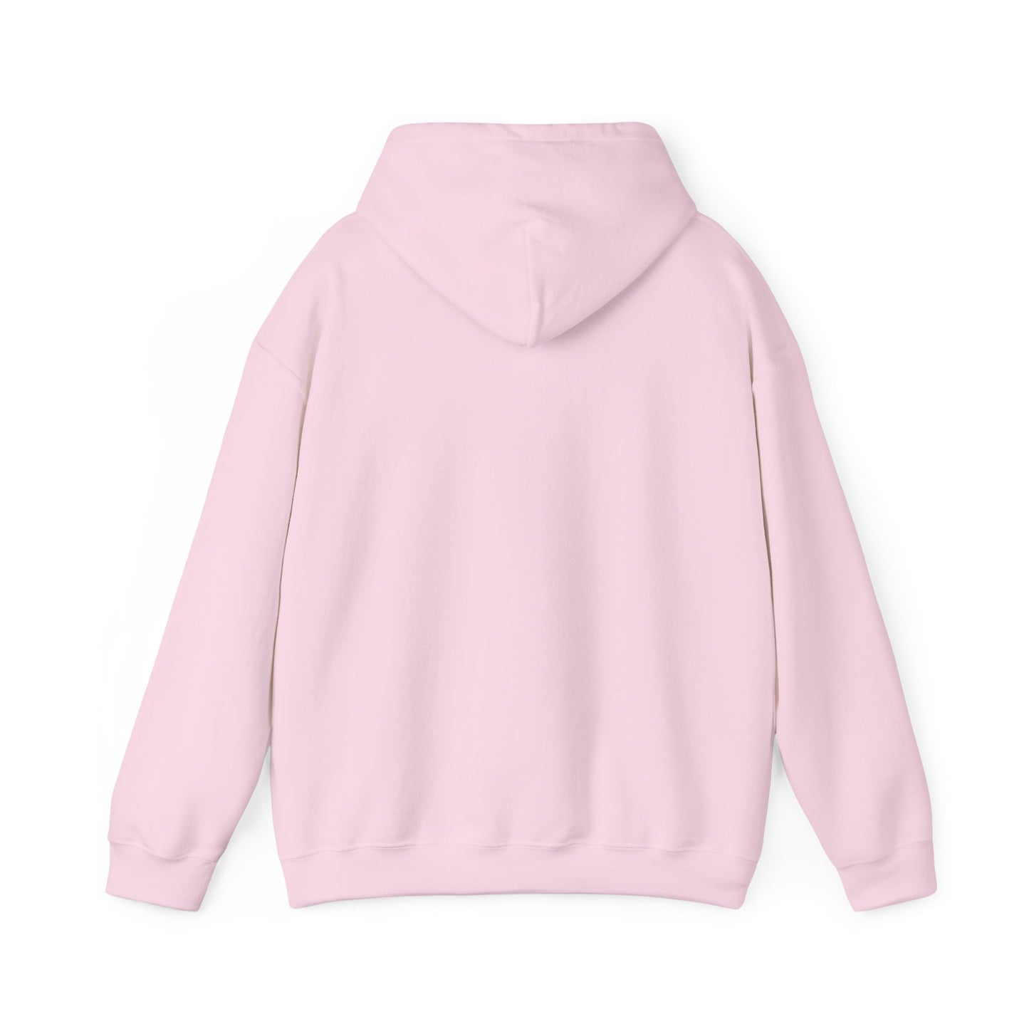 SUDADERA MAISONS 25 I WILL BECAUSE I AM - PINK