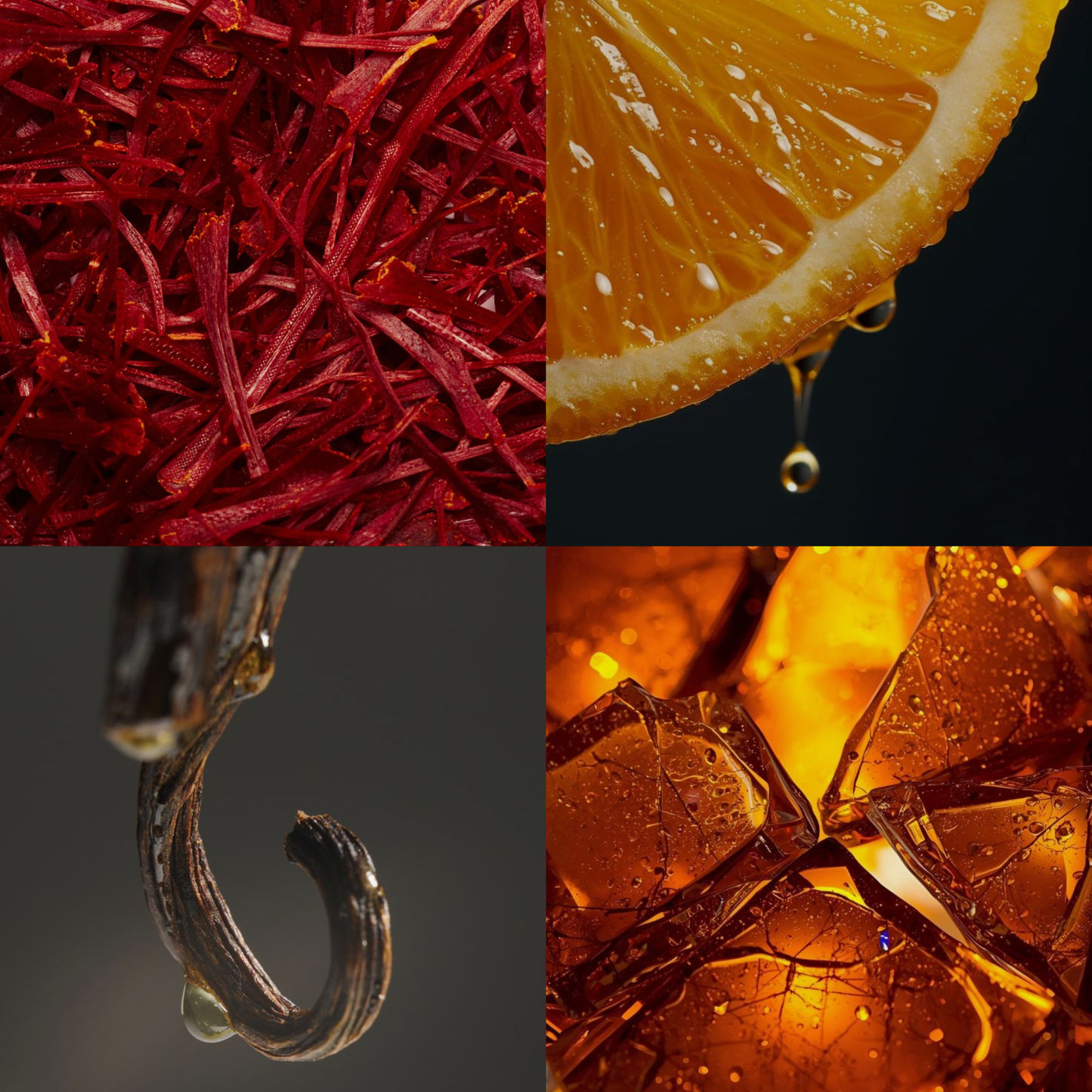 Magnus | Perfume