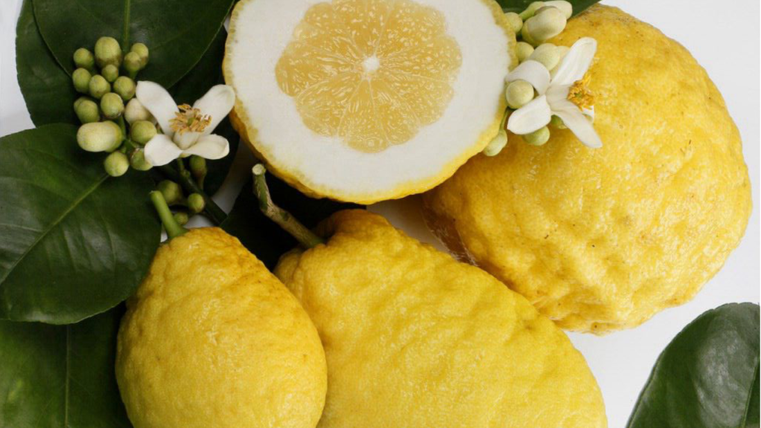 cidra perfumeria diferencia con el limon