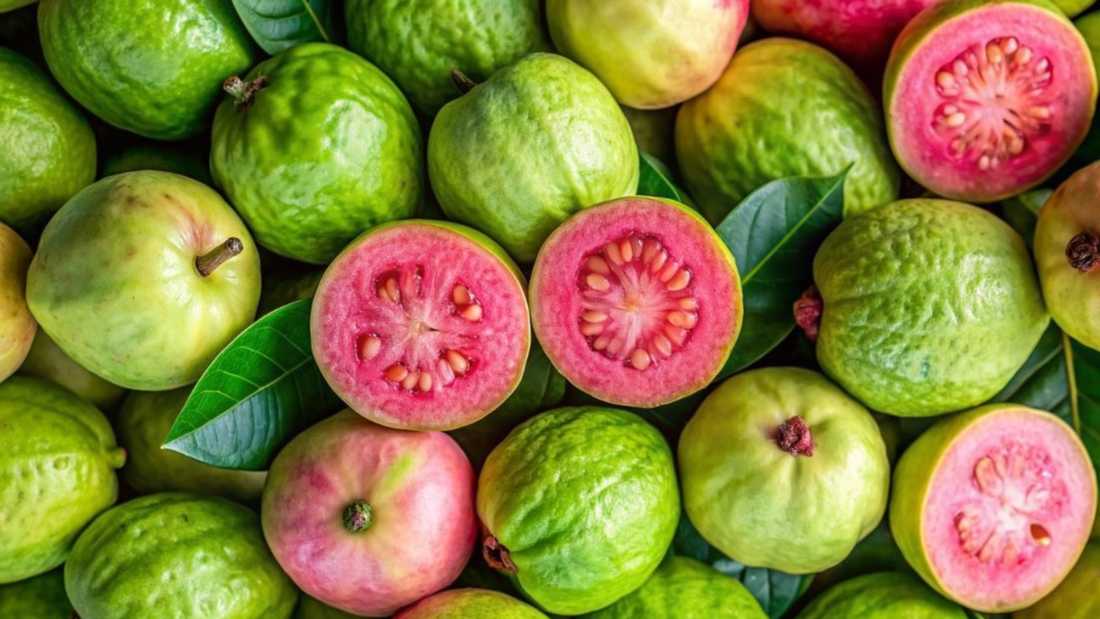 guayaba perfumeria informacion