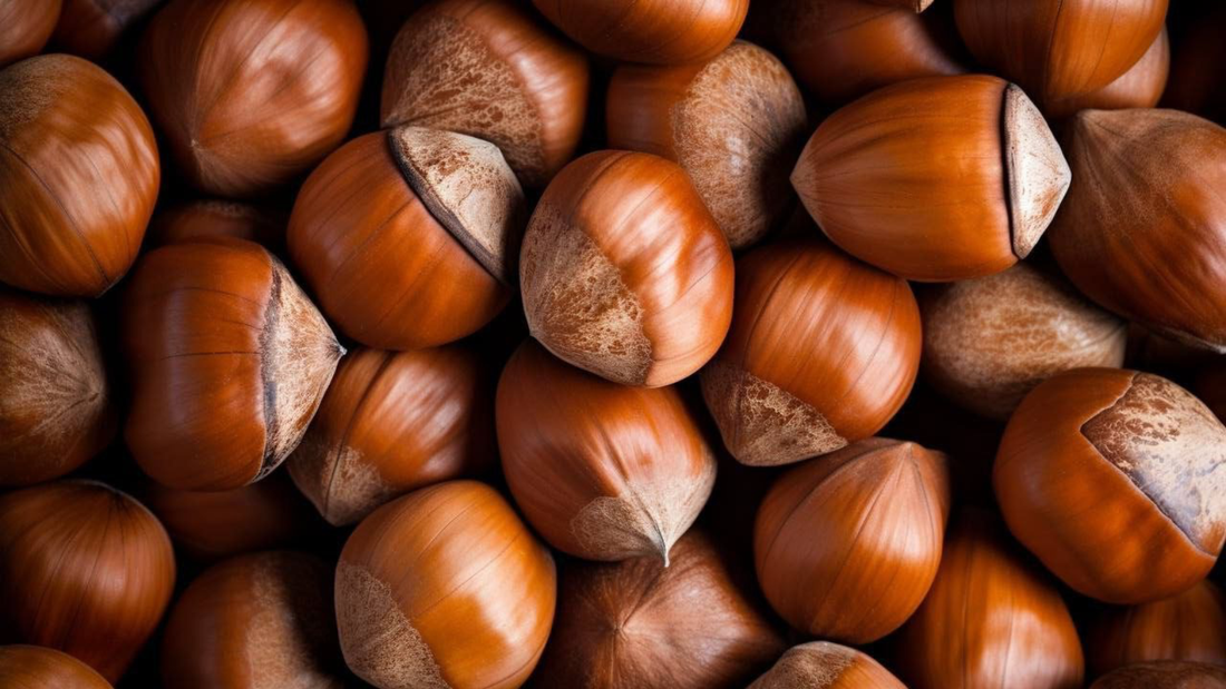 a que huele la avellana en perfumeria