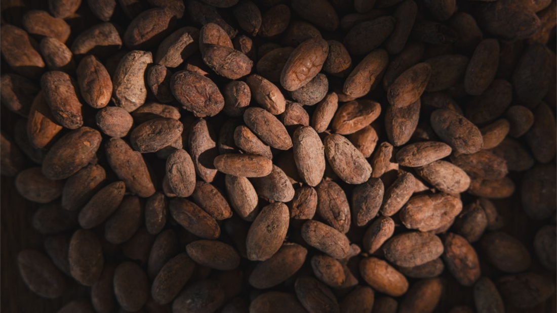 ¿A qué huele el cacao en un perfume?