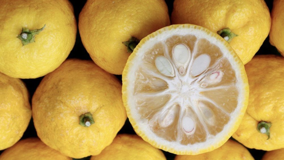¿Qué es el yuzu y qué aporta a un perfume?