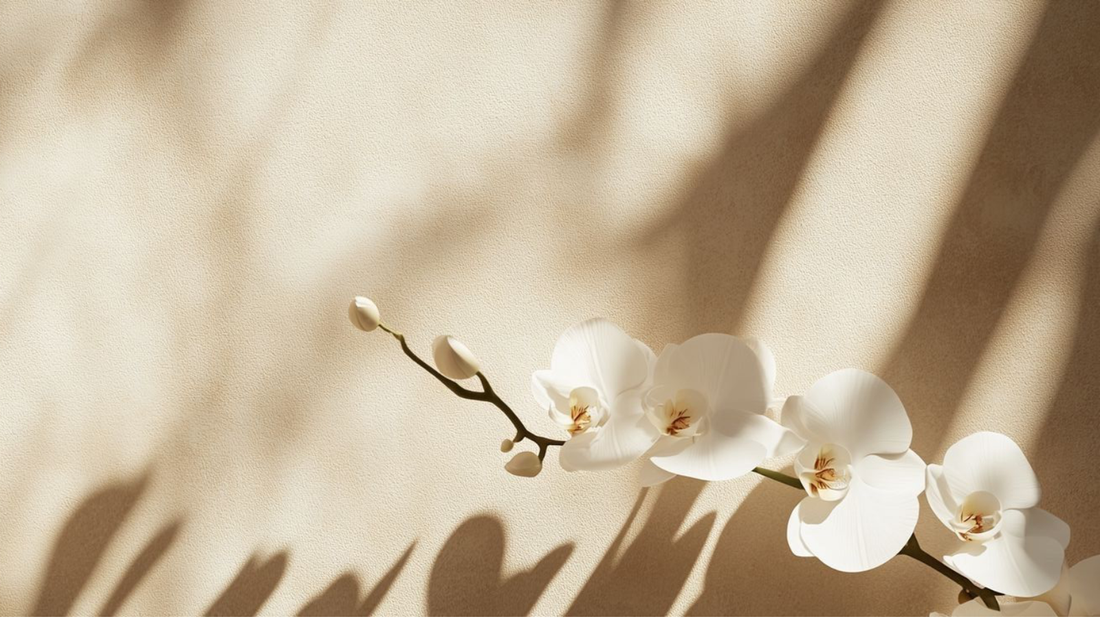 ¿A qué huele la orquídea en perfumería?