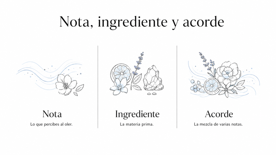 Qué diferencia hay entre nota, ingrediente y acorde