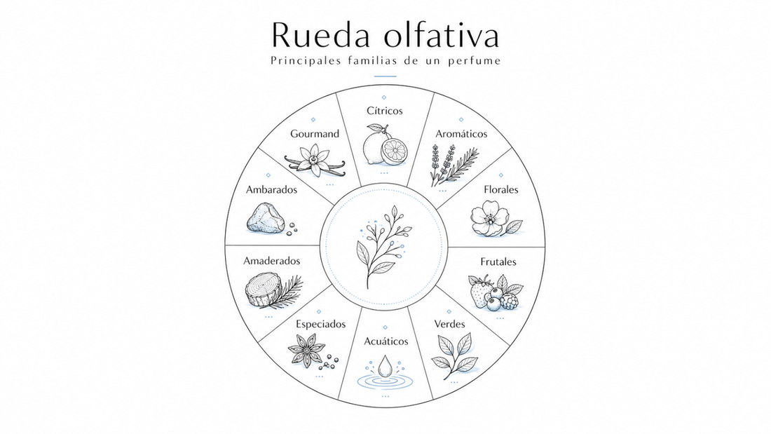 Cómo utilizar la rueda olfativa para saber qué aromas me atraen