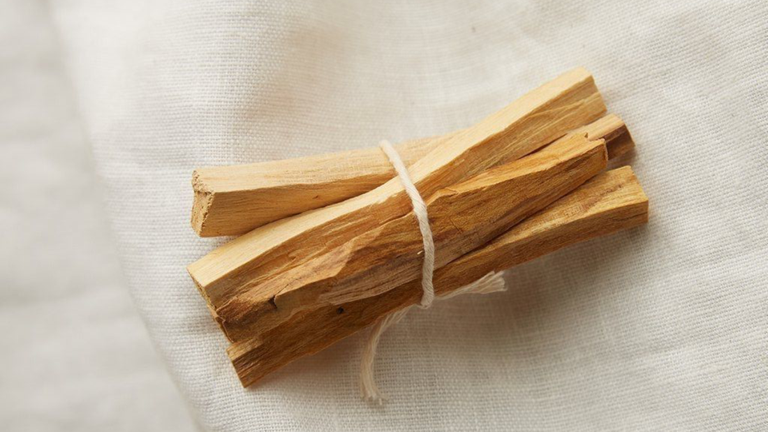 ¿Qué aporta el palo santo a un perfume?