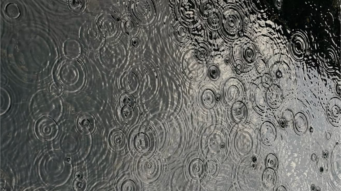 ¿Qué es el petricor y cómo se recrea el olor a lluvia?
