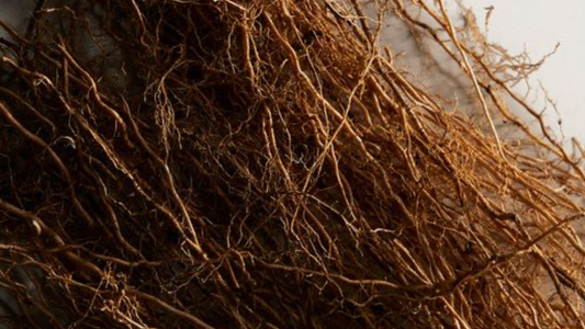 que es el vetiver en la perfumeria