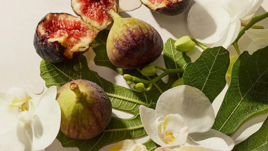 familias olfativas en perfumería