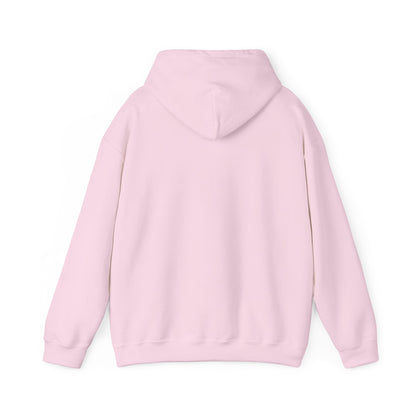SUDADERA MAISONS 25 I WILL BECAUSE I AM - PINK